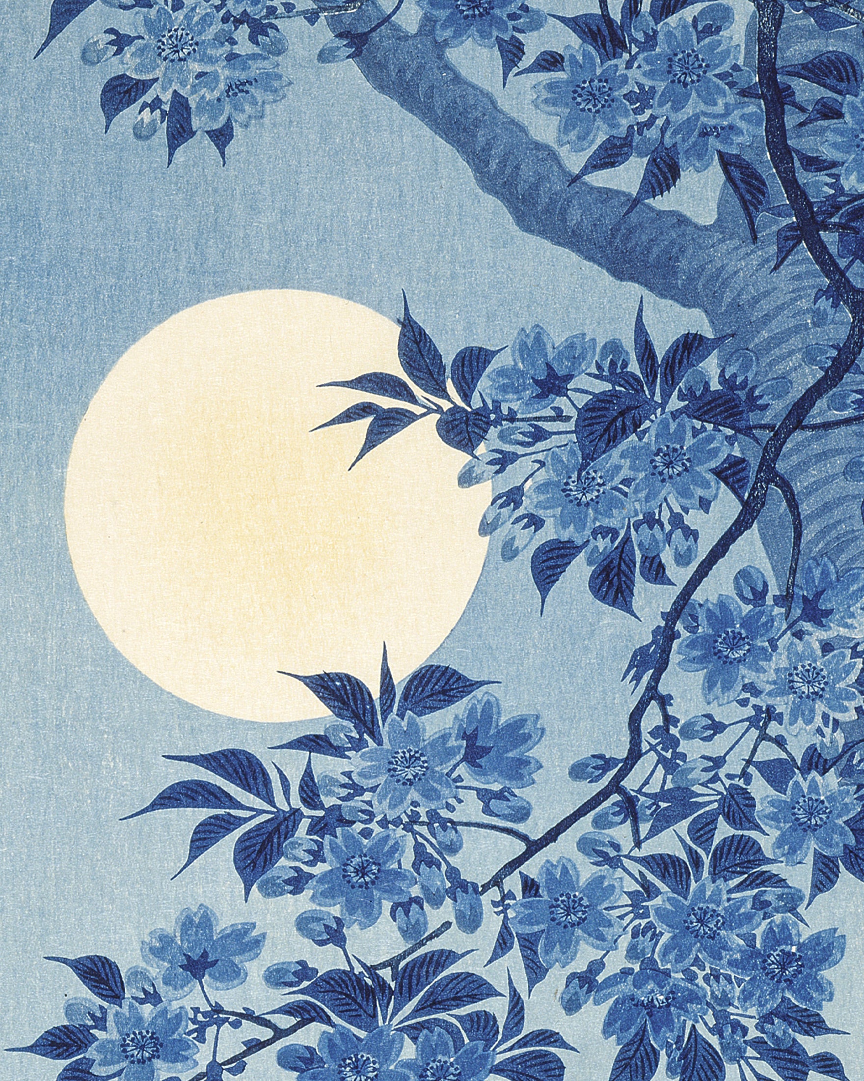 Blühende Kirsche in einer mondbeschienenen Nacht, Ohara Koson Poster
