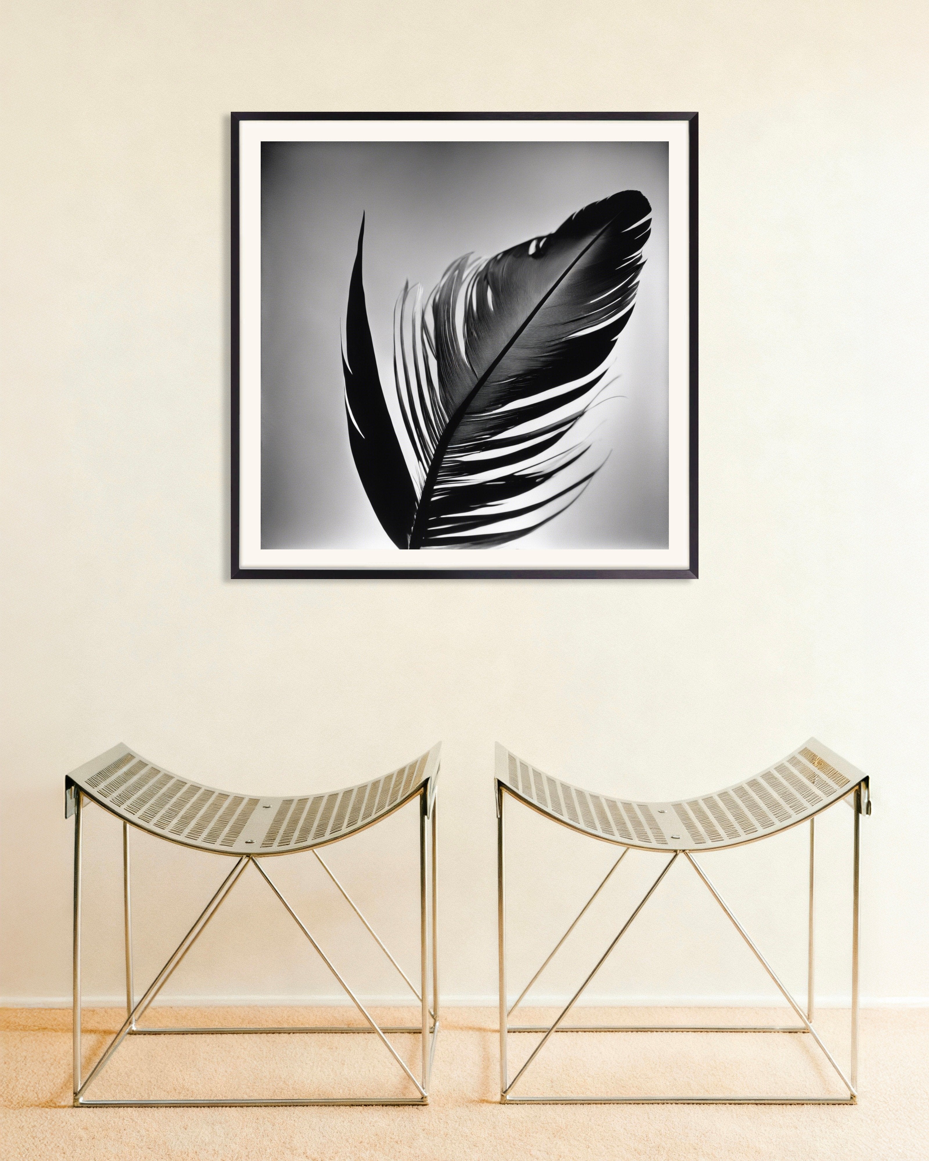 Poster of Abstract photographs based on elements of nature and geometric patterns, Feather - Poster, with metal frame