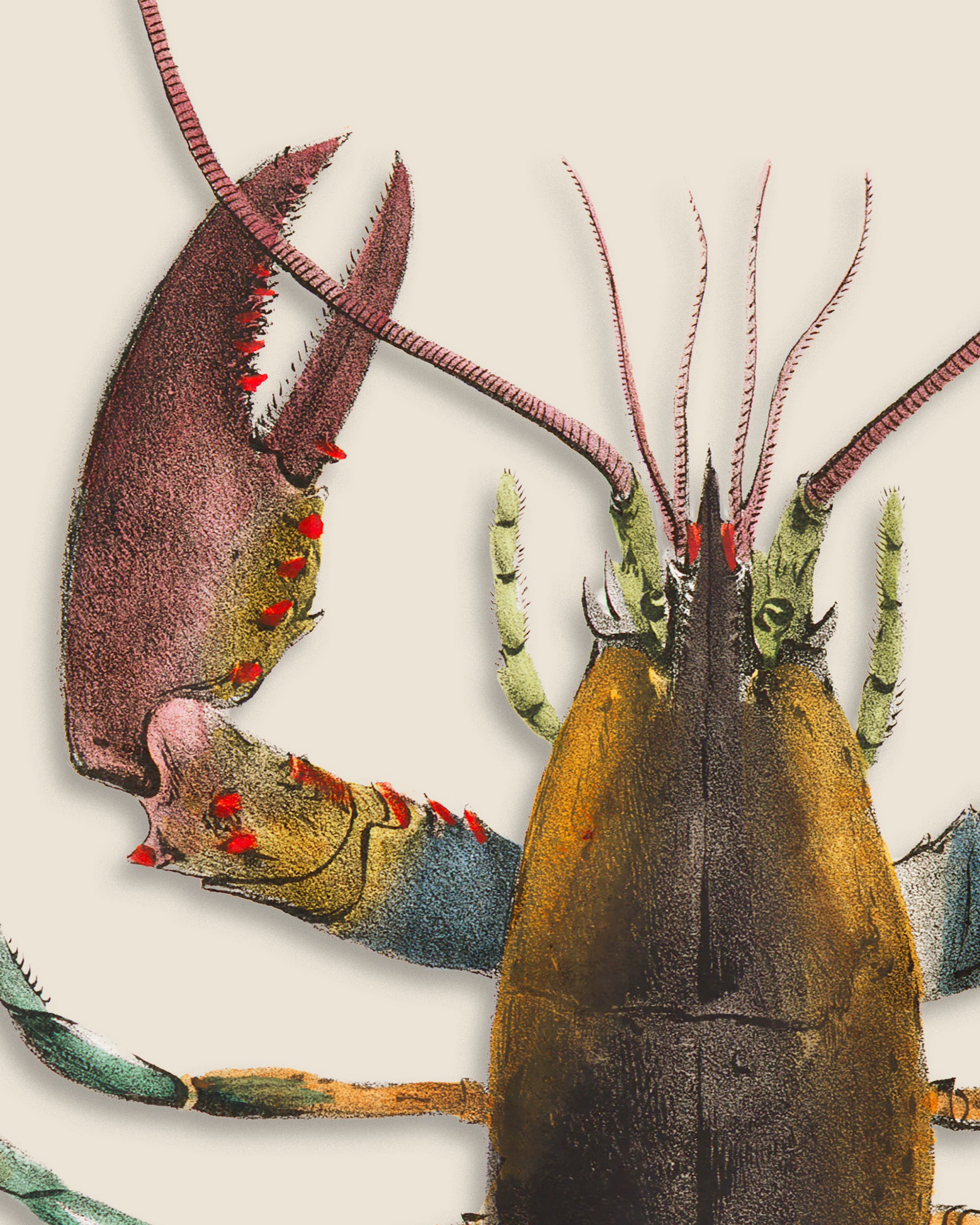 Wandbild 'Le Homard'
