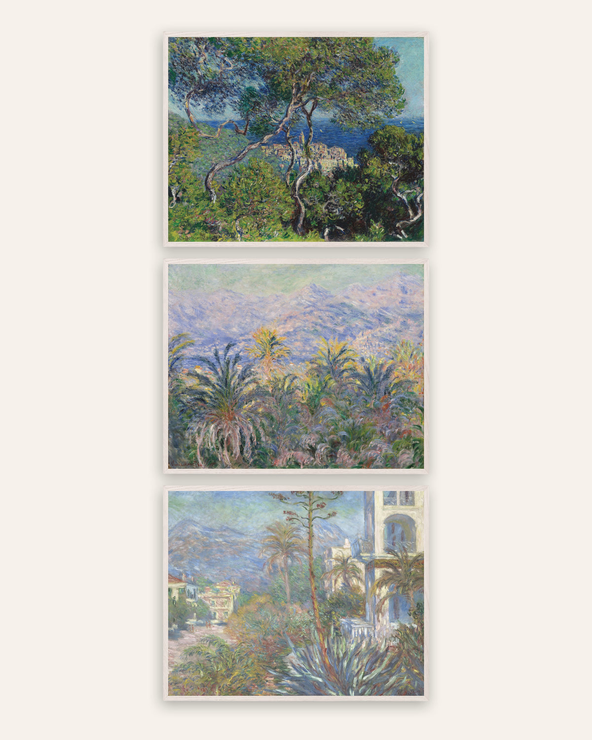 Poster di Monet, set da 3: Bordighera, pini, palme e ville, con cornici in rovere bianco