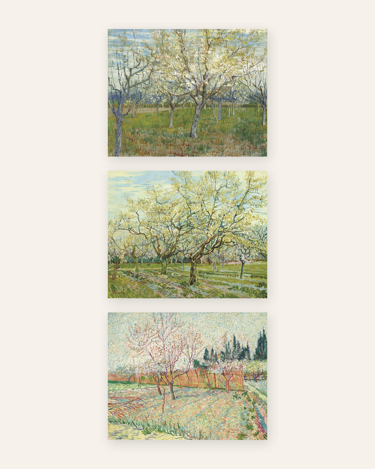 Affiches Van Gogh vergers en fleurs, lot de 3 : rose, blanc et bordé de cyprès, sans cadre