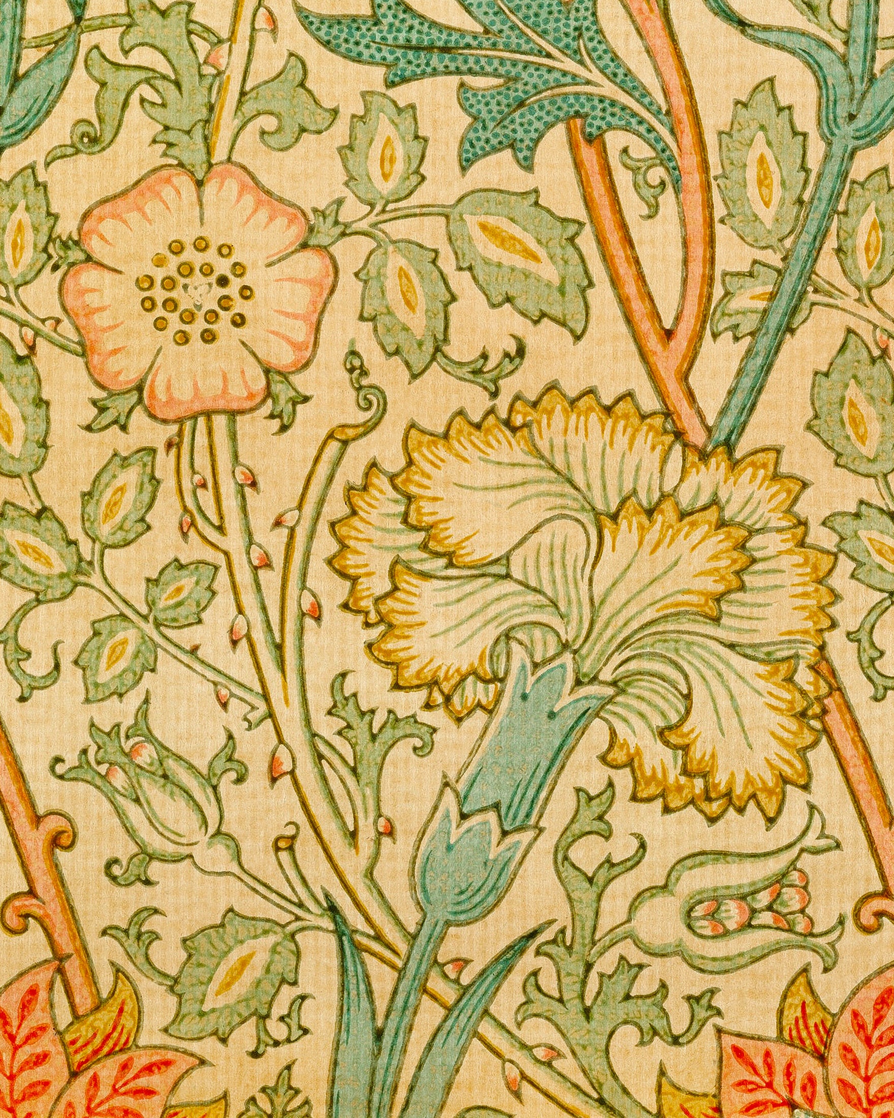 William Morris Carta da parati - Poster