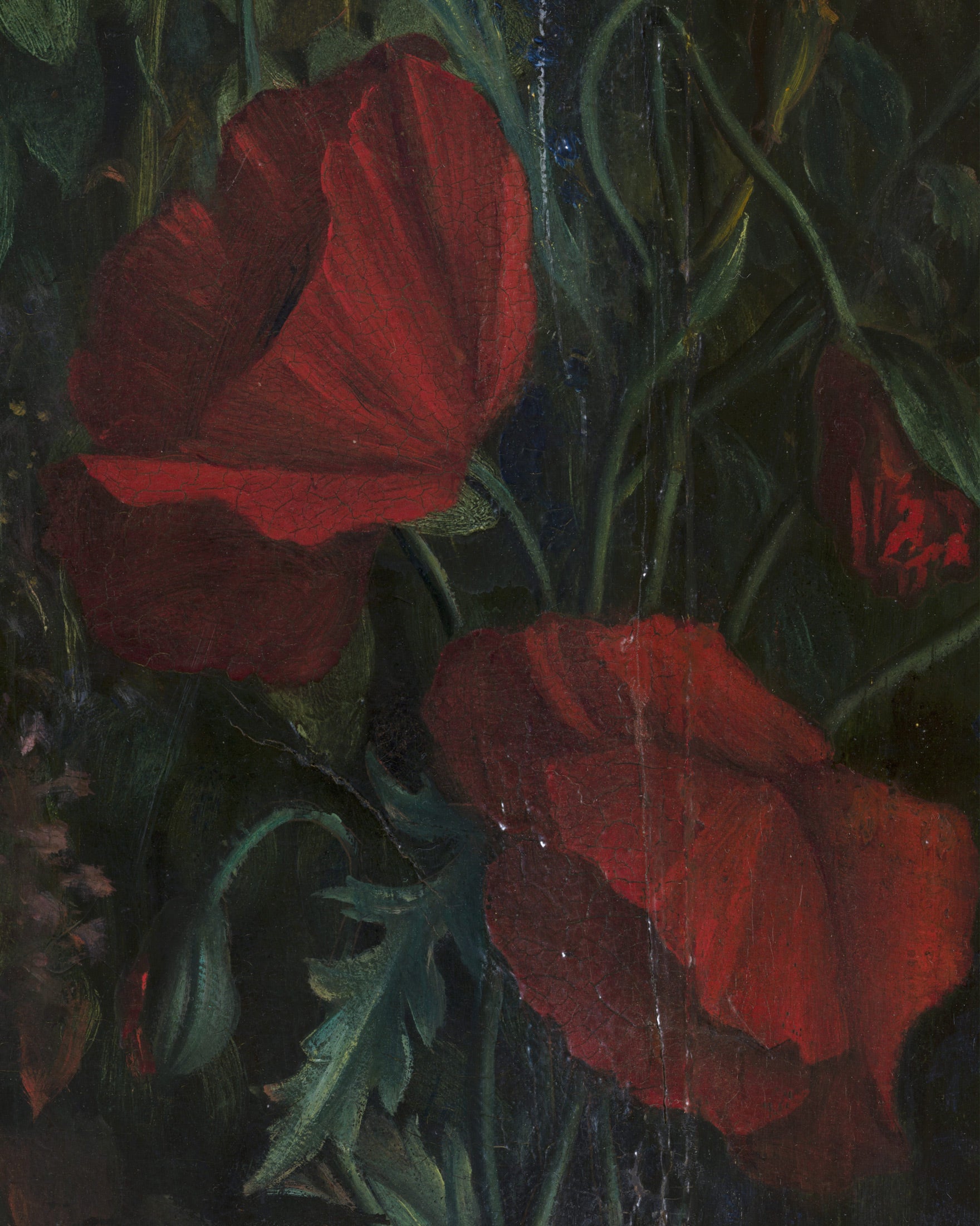 Louis Janmot "Fleur des Champs" Hand Detail - Rote Tulpen Plakat Poster