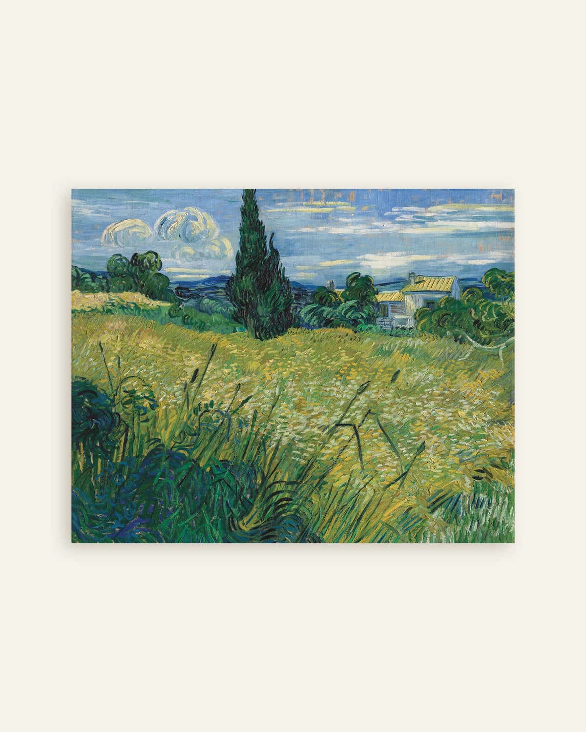 Poster di Campo di grano verde con cipresso (1889) di Vincent van Gogh, miniatura