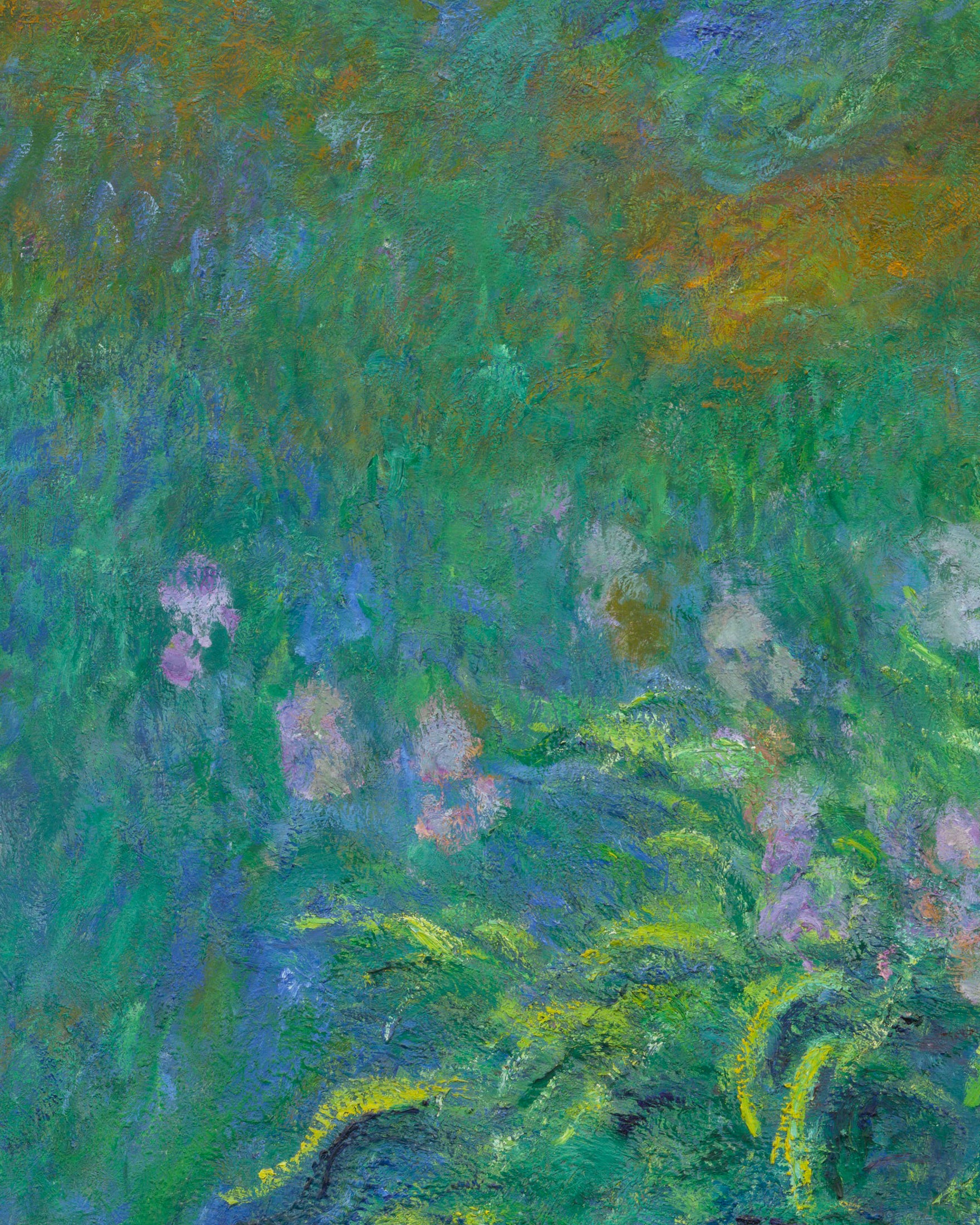 Tableau Les Iris de Monet -  Affiche