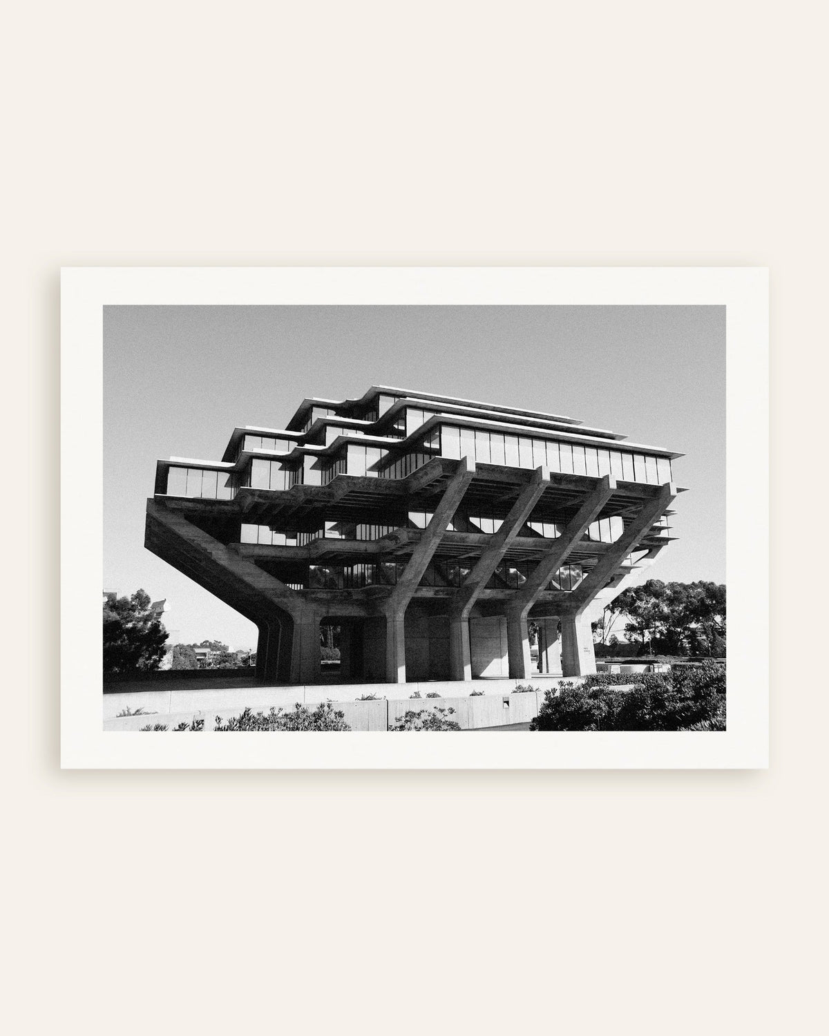 Poster «Biblioteca su pilastri di cemento», miniatura