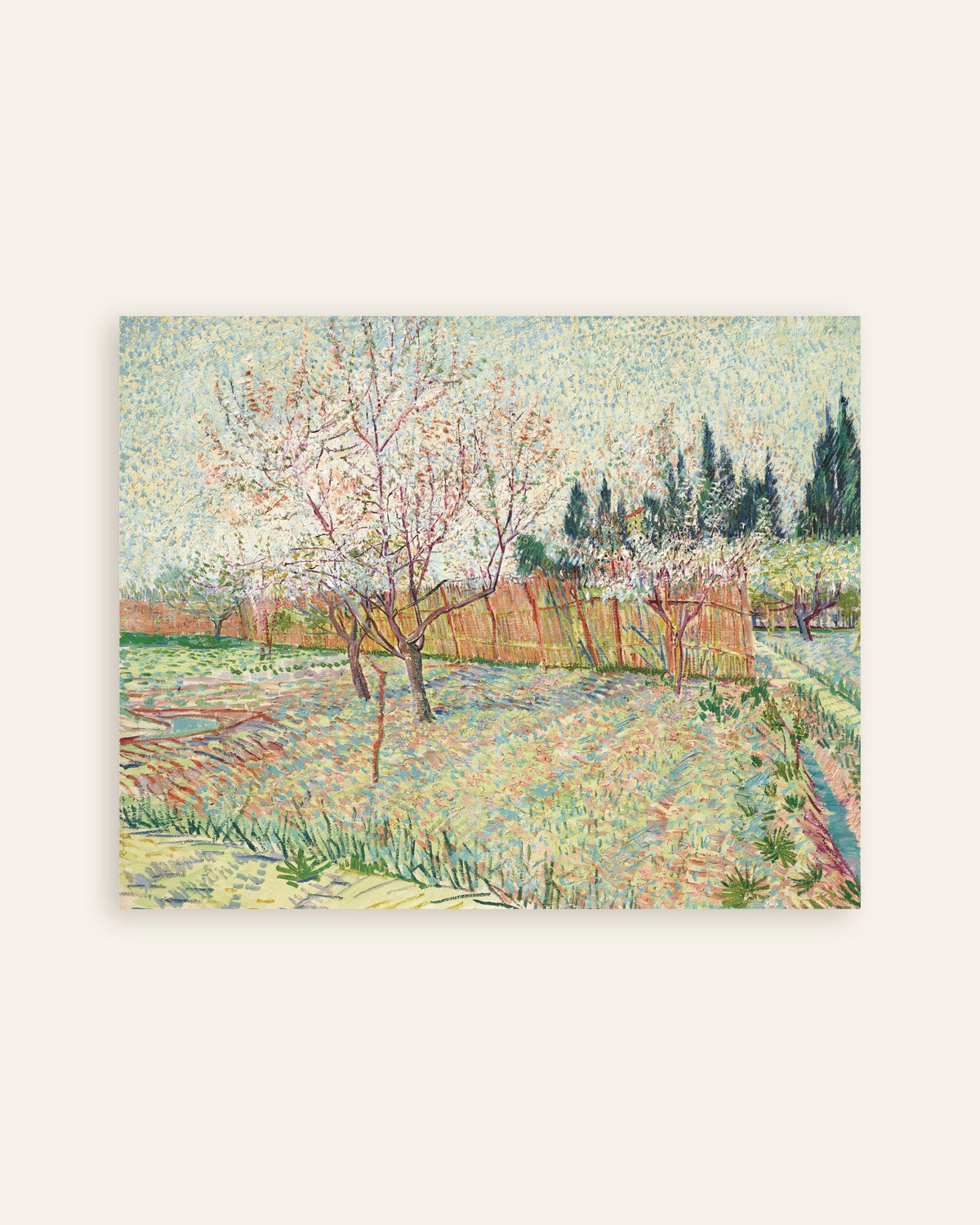 Poster de Le Verger bordé de cyprès (1888), de Vincent van Gogh, en vignette