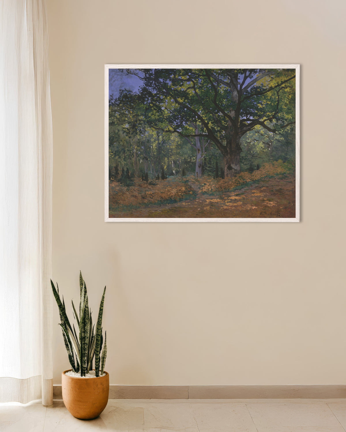 Poster Die Bodmer-Eiche, Wald von Fontainebleau (1865) von Claude Monet mit weißem Holzrahmen