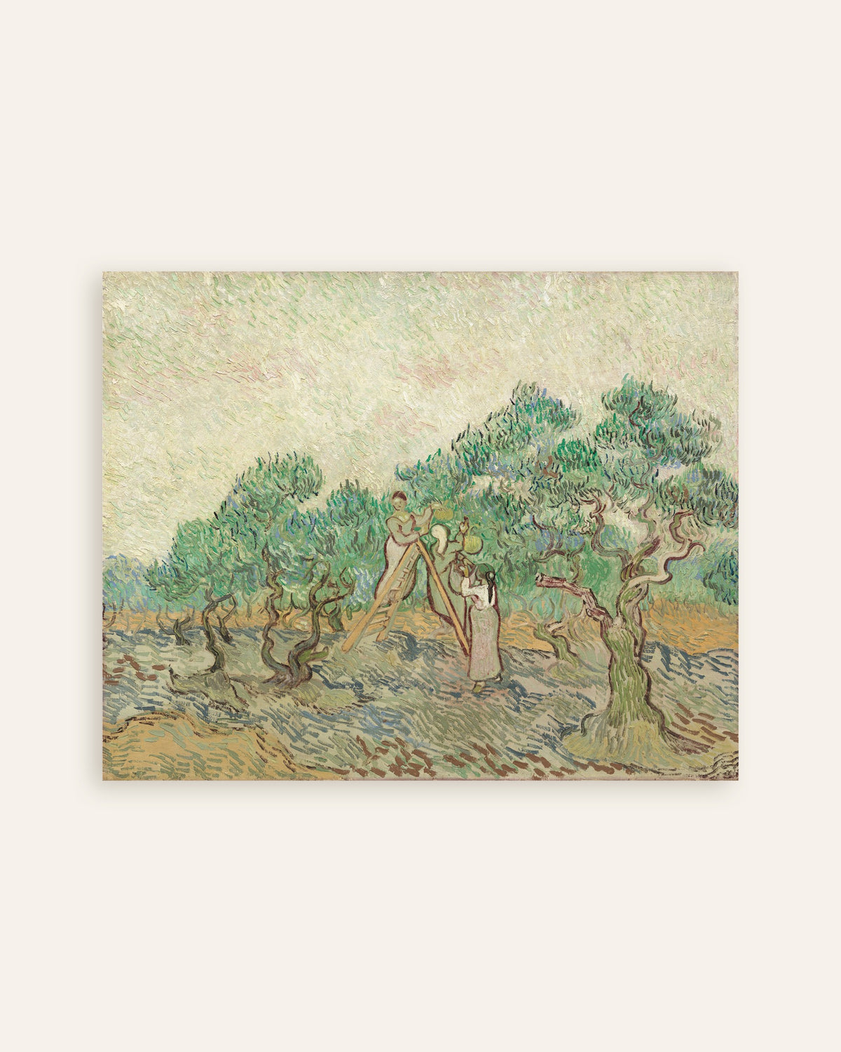Poster di L'uliveto (1889) di Vincent van Gogh, miniatura