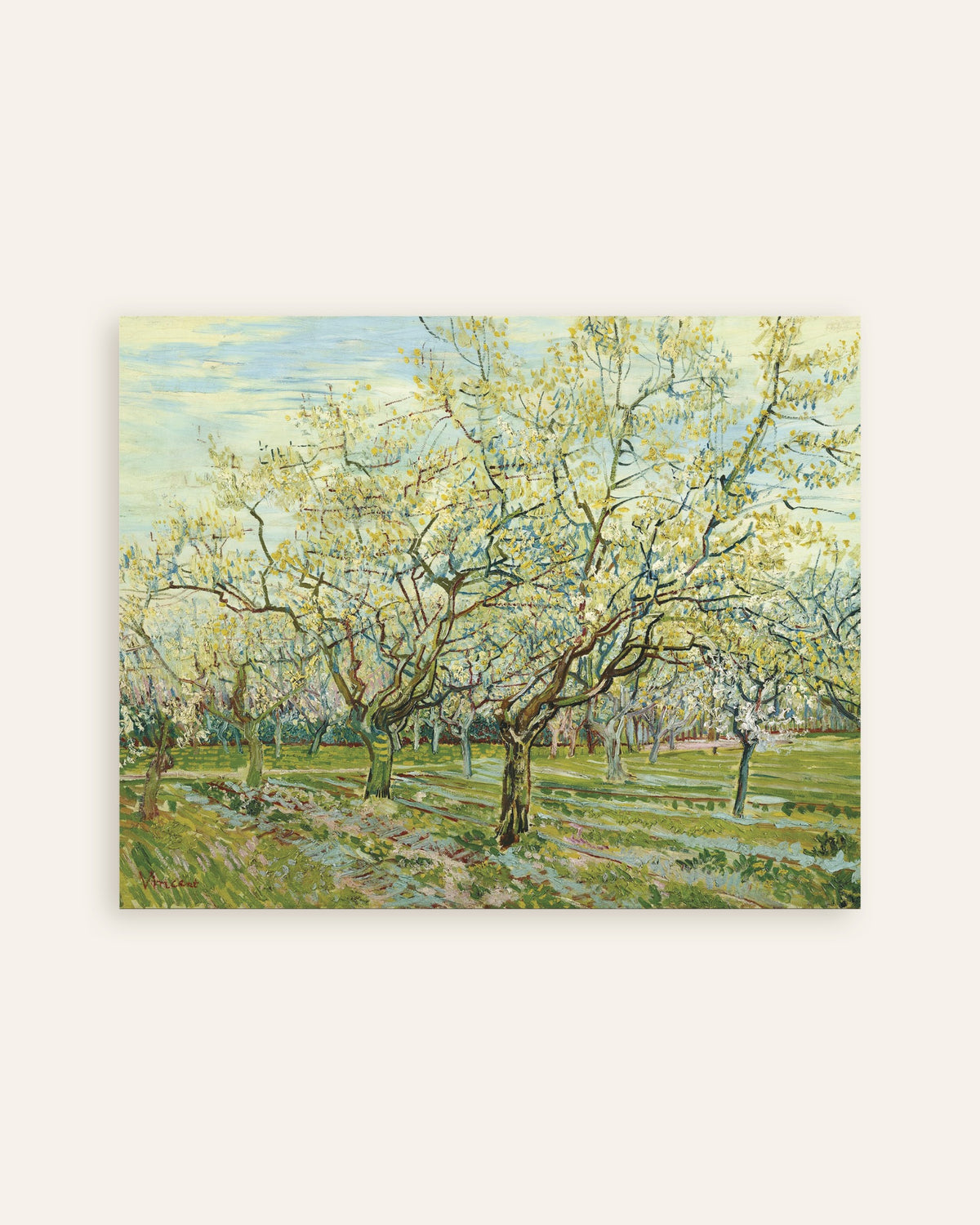 Poster Le Verger blanc (1888) de Vincent van Gogh, vignette