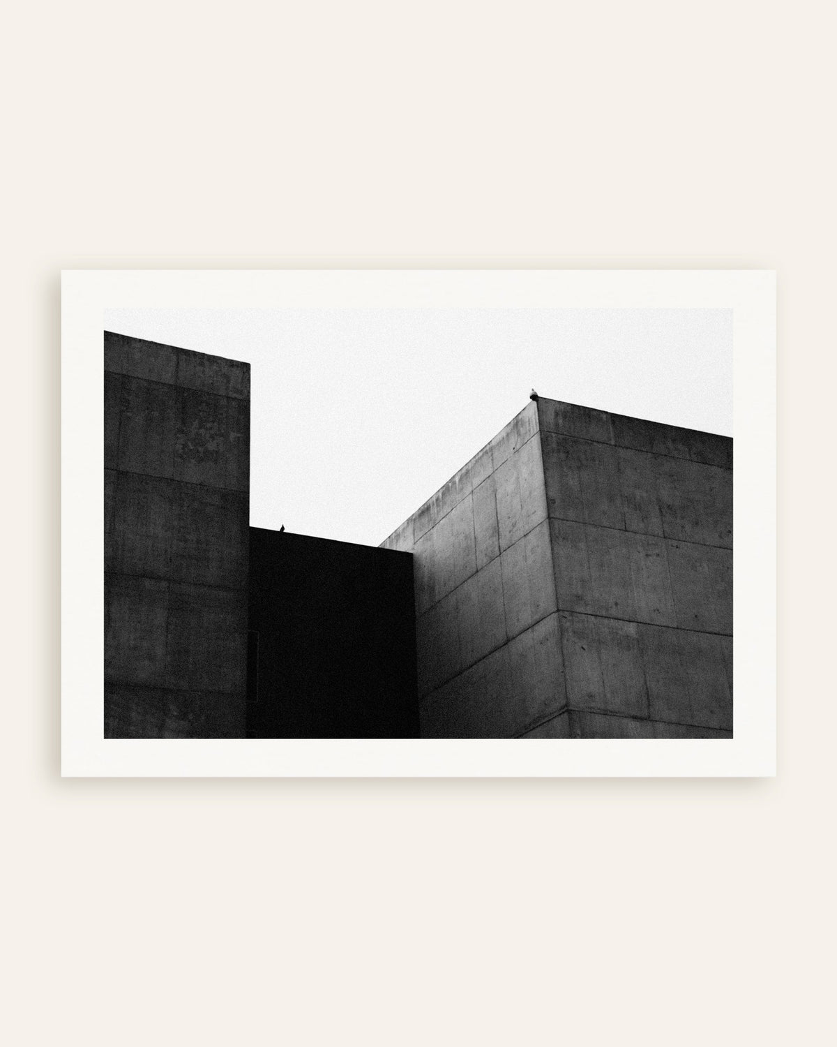 Affiche « Deux blocs de béton et un oiseau », vignette