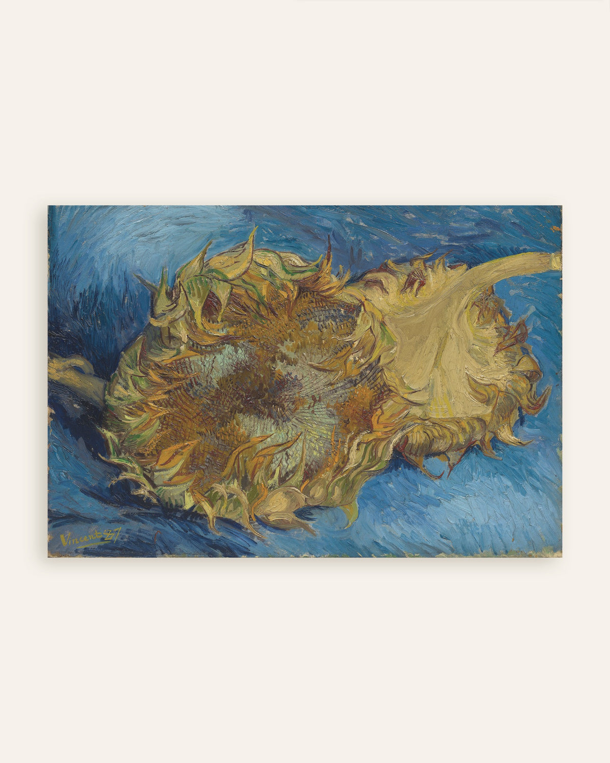 Poster mit Zwei abgeschnittene Sonnenblumen (1887) von Vincent van Gogh, als Miniatur