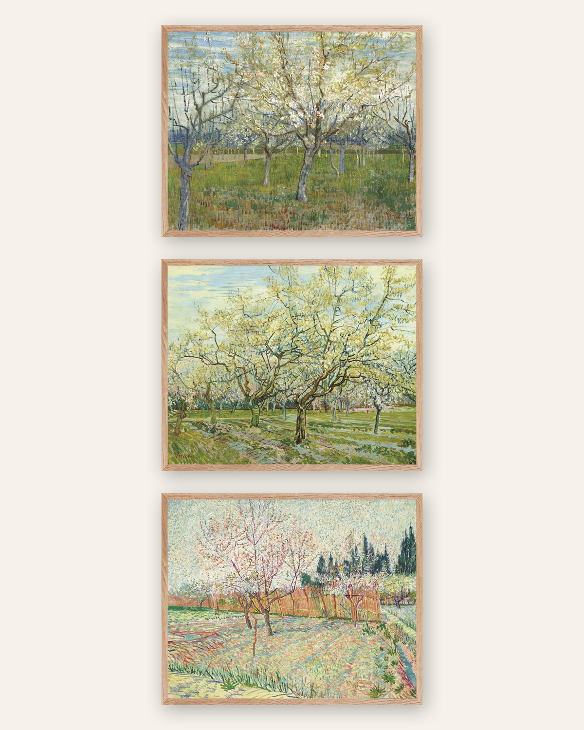 Affiches Van Gogh vergers en fleurs, lot de 3 : rose, blanc et bordé de cyprès, cadres en chêne naturel