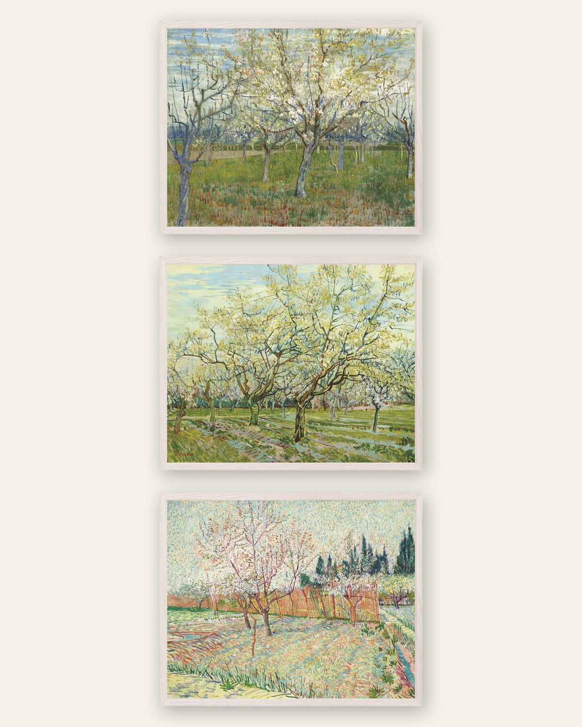 Affiches Van Gogh vergers en fleurs, lot de 3 : rose, blanc et bordé de cyprès, cadres en chêne blanc