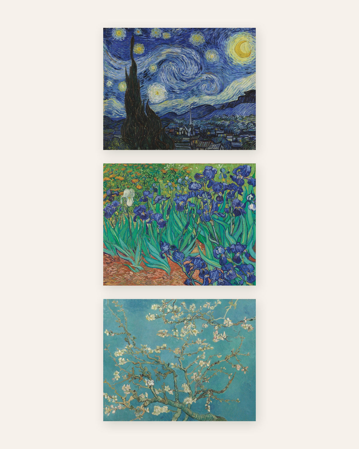 Affiches Van Gogh, lot de 3 : La Nuit étoilée, Iris et Branches d’amandier en fleurs, sans cadre